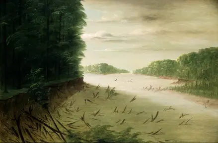 Scène del basso Mississippi - George Catlin