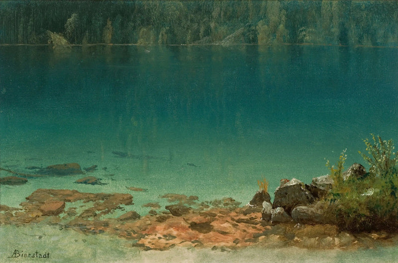 Scène del lago - Albert Bierstadt