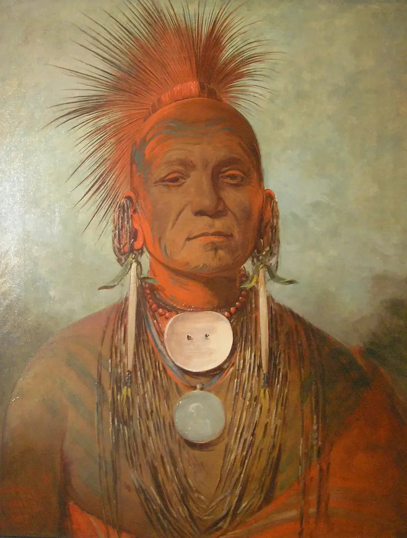 See-non-ty-a, un guaritore dell'Iowa - George Catlin