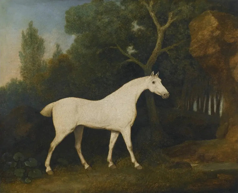 Selim, un cacciatore grigio in una recinzione - George Stubbs