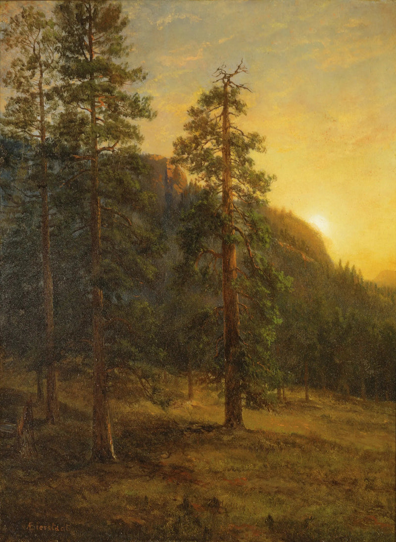 Sequoie della California - Albert Bierstadt