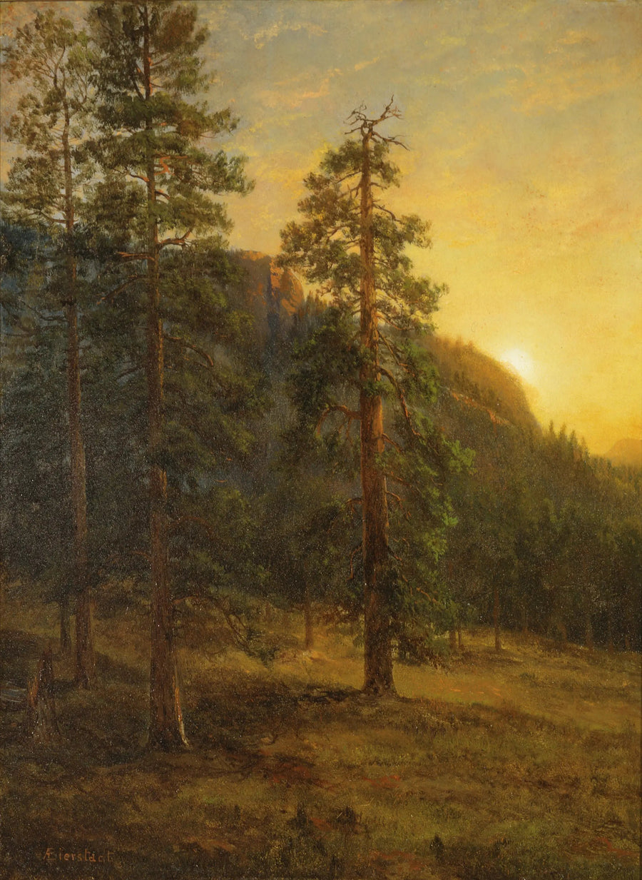 Sequoie della California - Albert Bierstadt