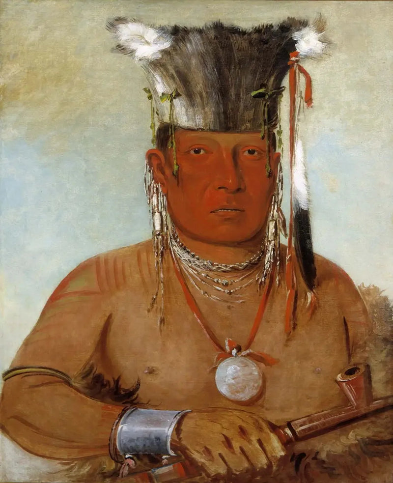 Sháw-da-mon-nee, ecco qui, un bravo - George Catlin