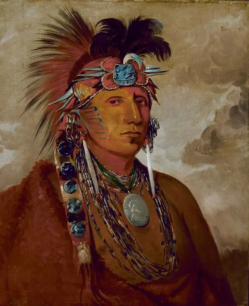 Shó-me-kós-see, Il lupo, un capo - George Catlin
