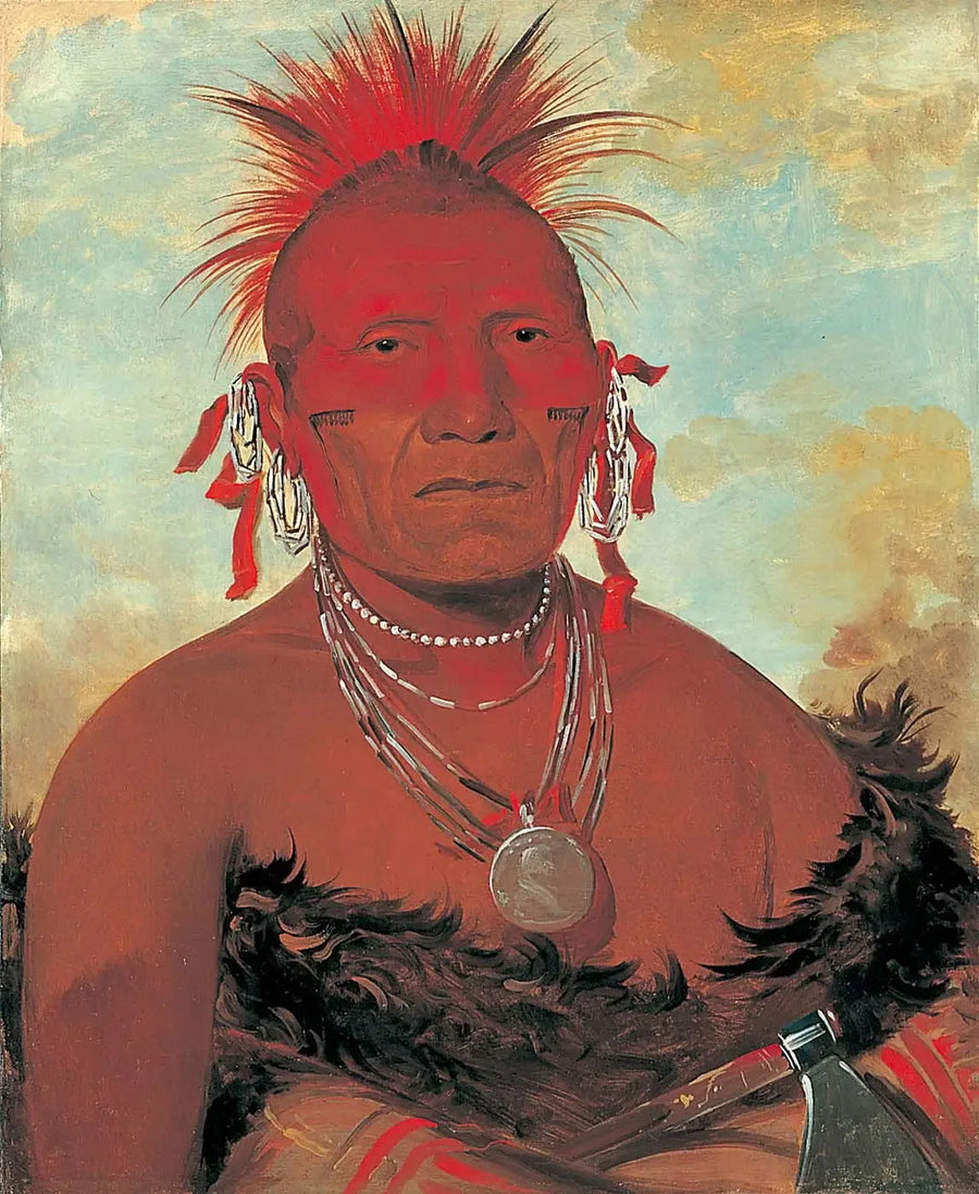 Shón-ka-ki-he-ga, capo dei cavalli, grande capo Pawnee - George Catlin