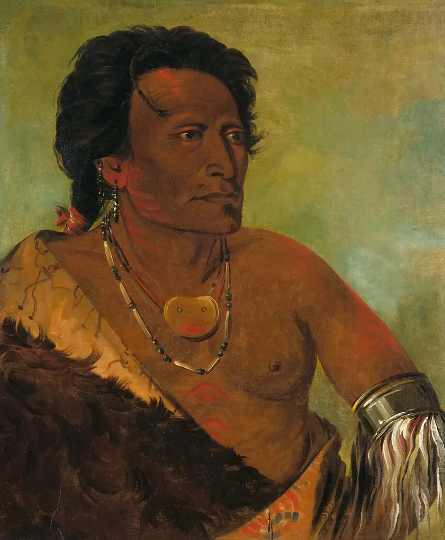 Sky-se-ró-ka, secondo capo della tribù - George Catlin