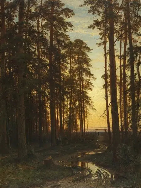 Serata in una foresta di pini - Ivan Chichkine