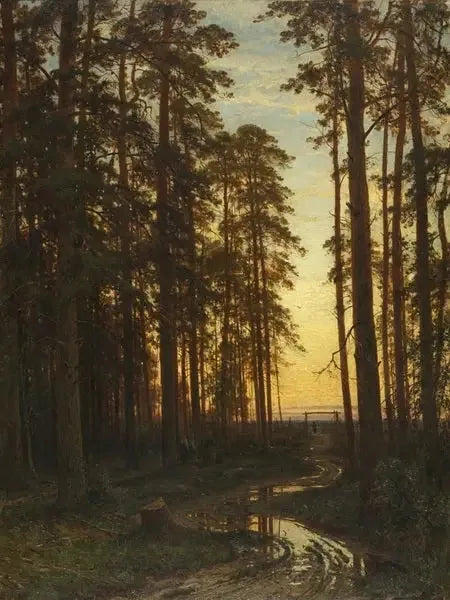 Serata in una foresta di pini - Ivan Chichkine