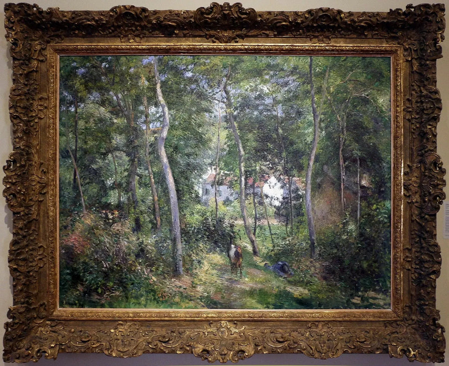 Sottobosco all'Hermitage, Pontoise / Il Fondo dell'Hermitage - Camille Pissarro