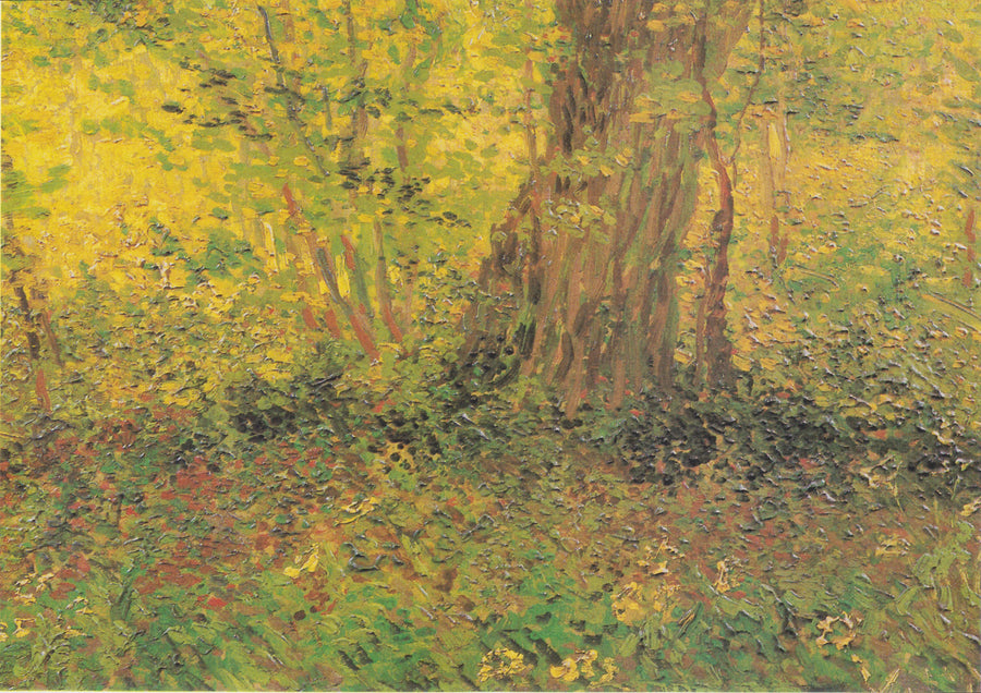 Sottobosco - Vincent van Gogh