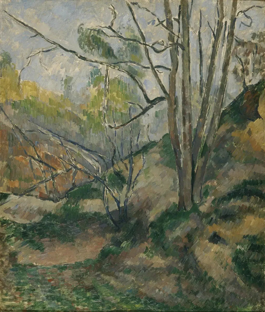 Sottobosco - Paul Cézanne