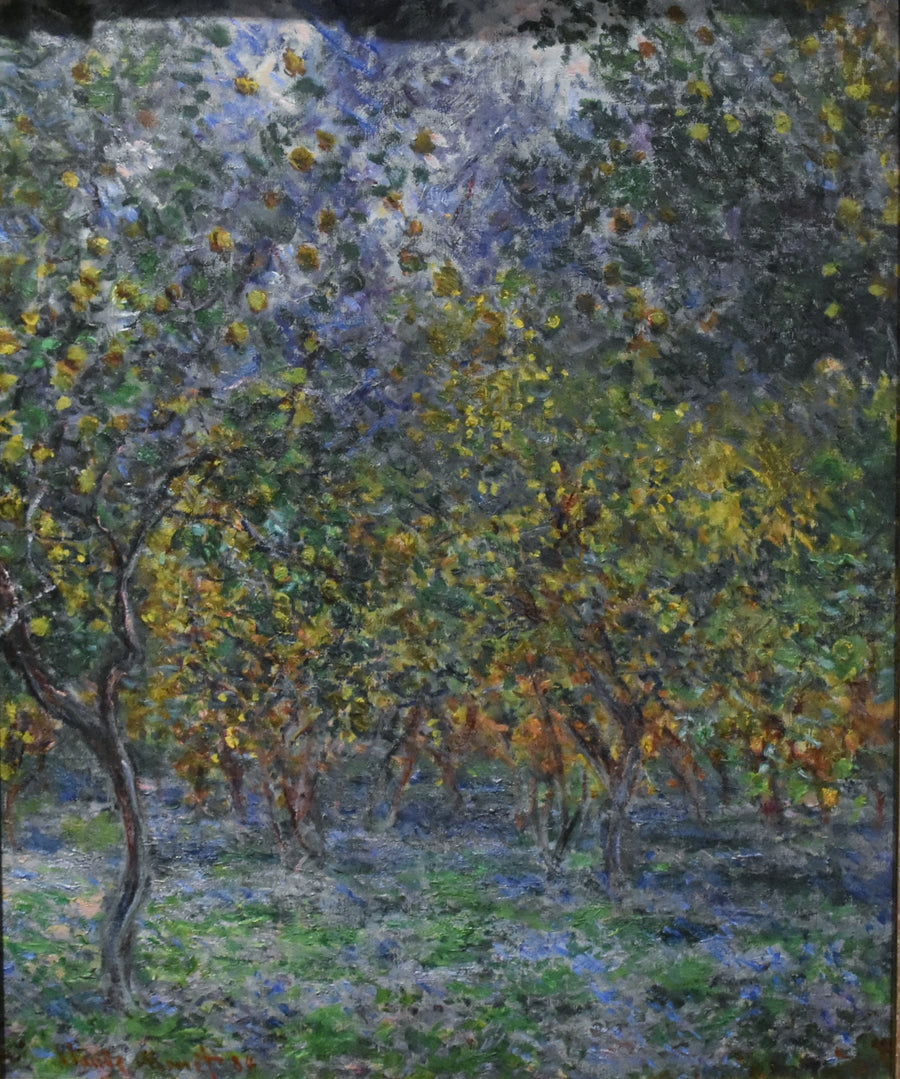 Sotto gli alberi di limoni W873 - Claude Monet