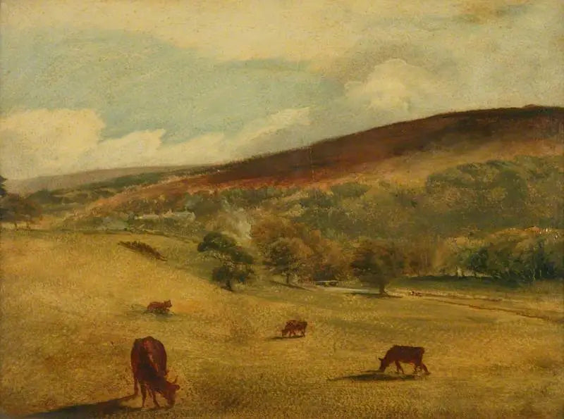 South Downs - Giovanni Costantino