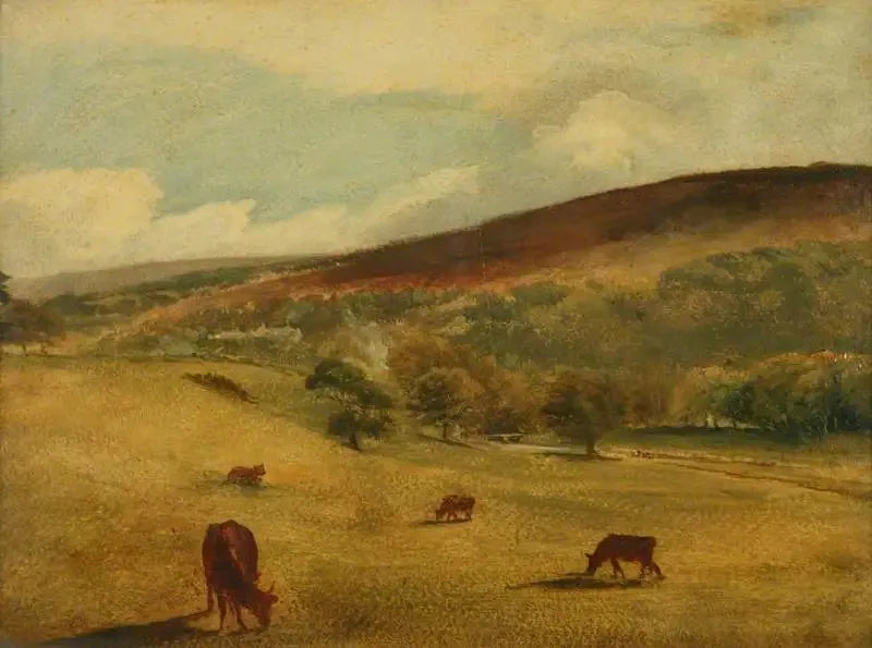 South Downs - Giovanni Costantino