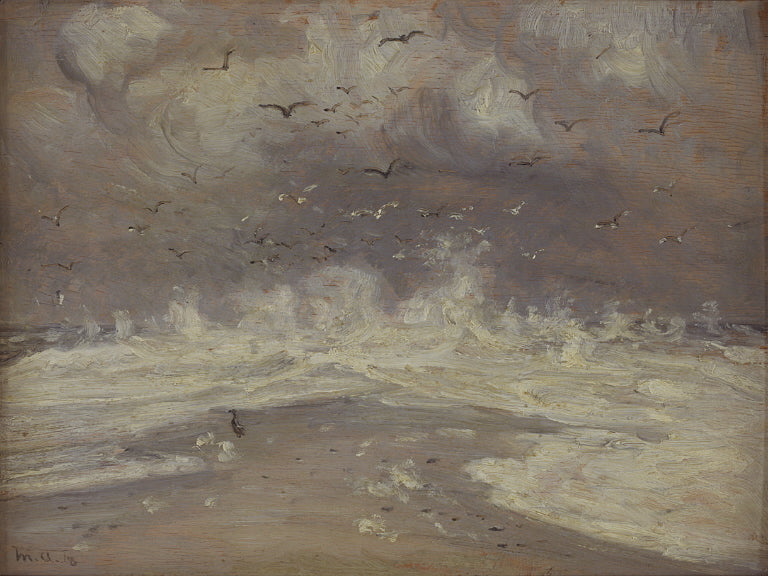 Surf sulla costa settentrionale dello Jutland - Michael Peter Ancher