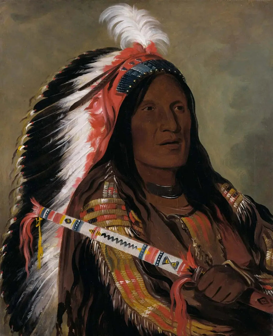 Táh-téck-a-da-háir, Vent raide, un bravura del gruppo Bad Arrow Points - George Catlin
