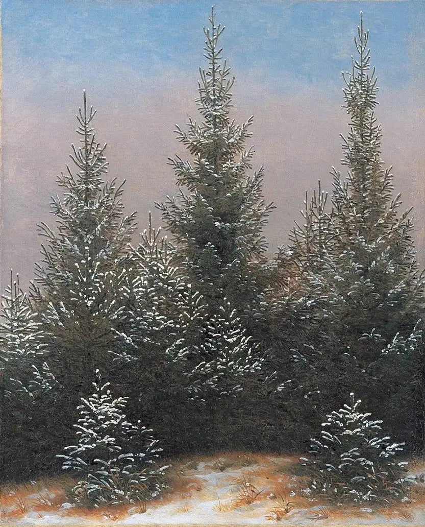Boschetto dell'epice nella neve - Caspar David Friedrich