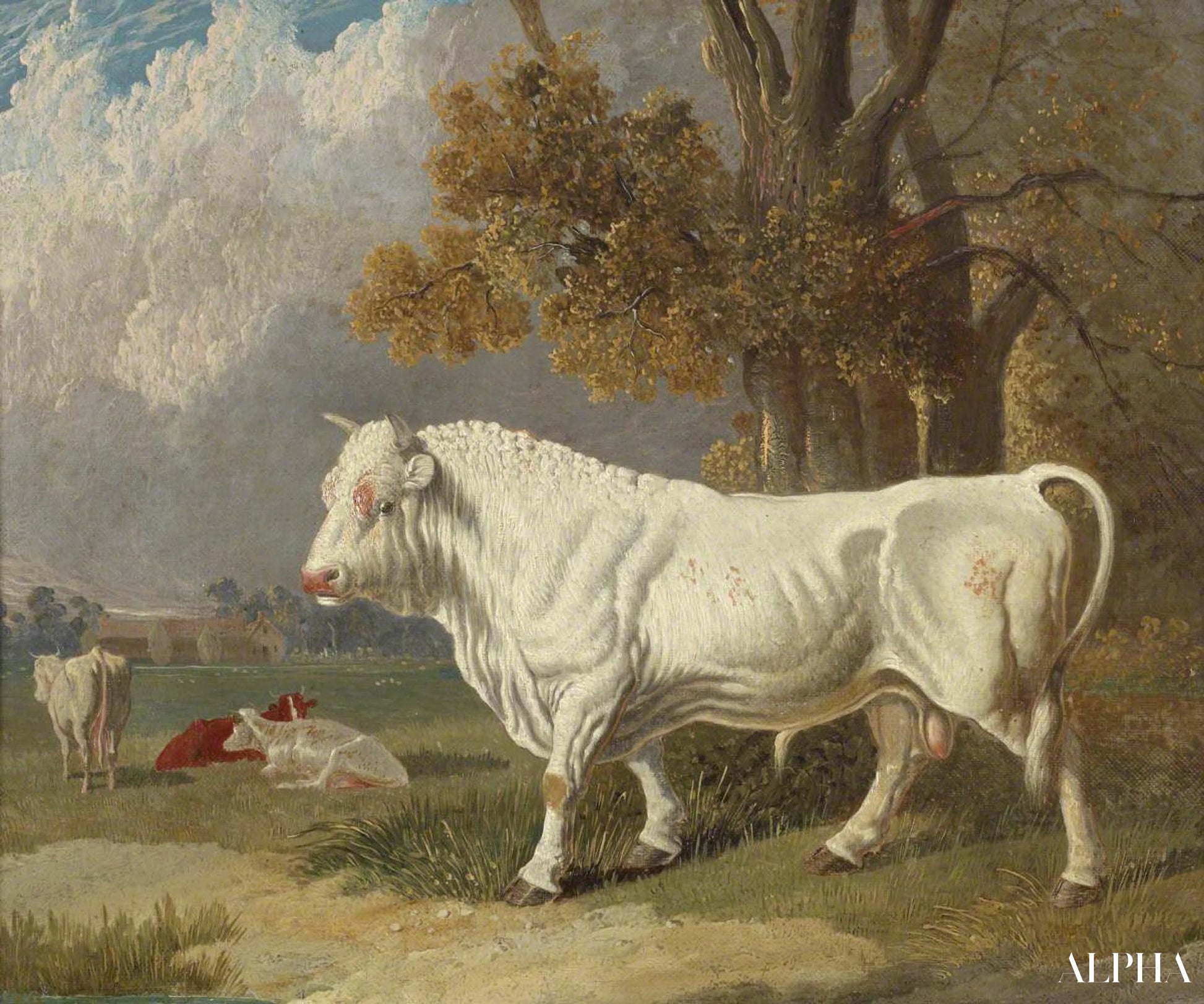 Taureau blanc, Fulbourn, Cambridgeshire, 1830 - John Frederick Herring Snr - Reproductions de tableaux et peintures haut de gamme