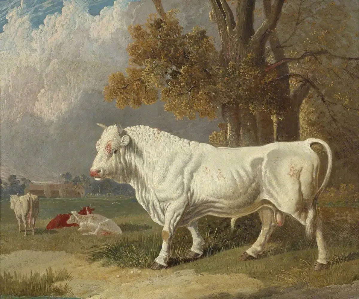 Taureau blanc, Fulbourn, Cambridgeshire, 1830 - John Frederick Herring, Sr. image 1 reproduction de peinture à l’huile