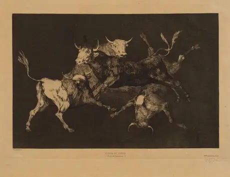 Tori - Francisco de Goya