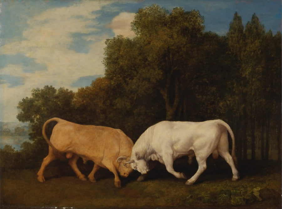 Tori - George Stubbs