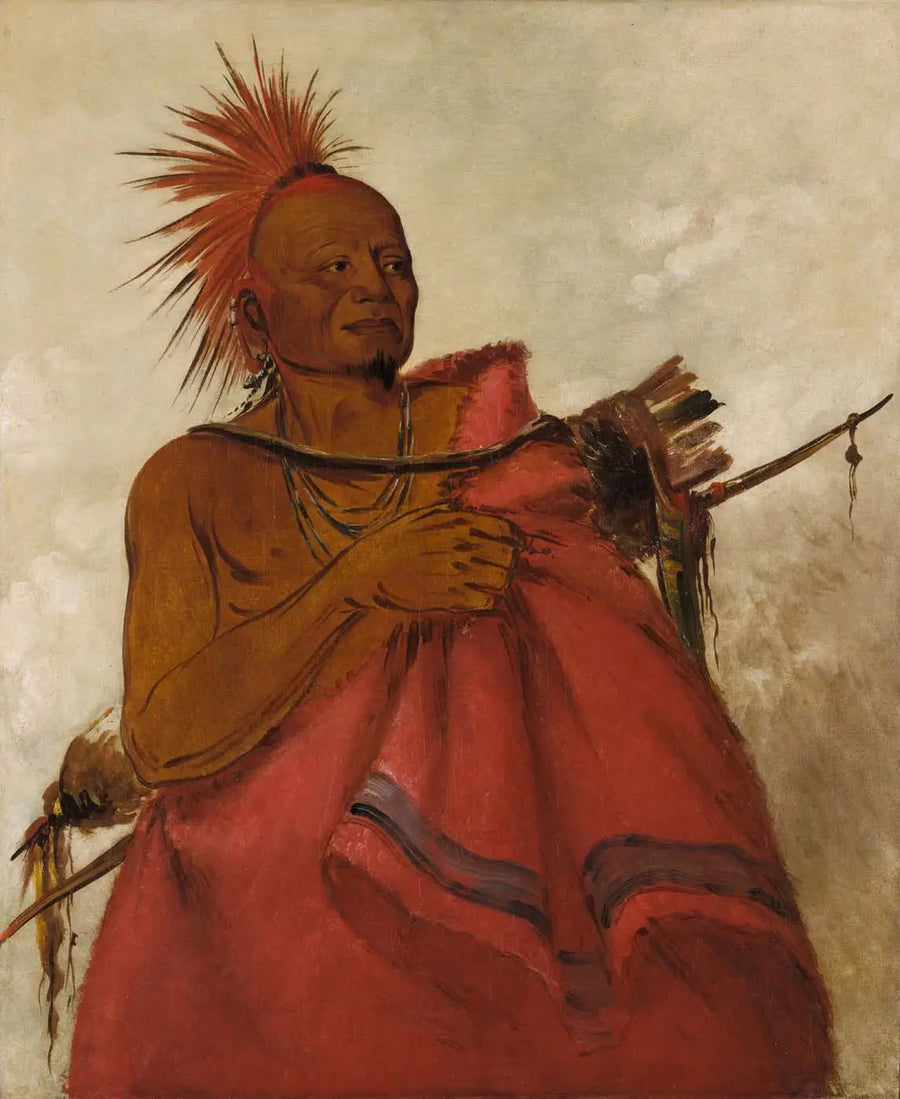 Tcha-tó-ga, bufalo selvaggio, assassino di due uomini bianchi - George Catlin