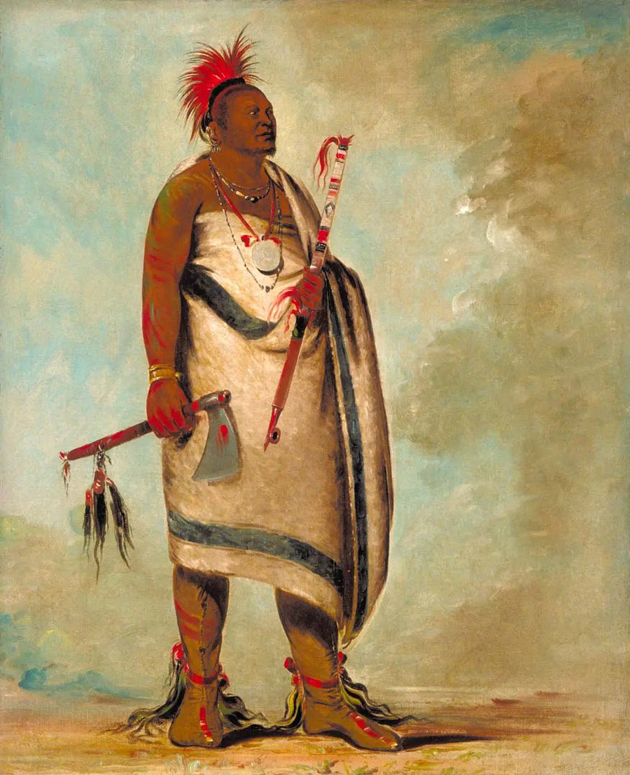 Tchong-tas-sáb-bee, Cane nero, secondo capo - George Catlin