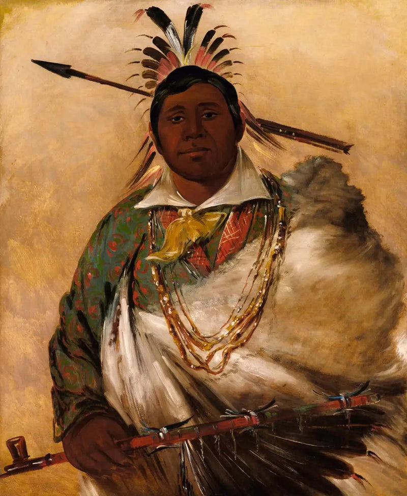 Téh-ke-néh-kee, cappotto nero, un capo - George Catlin