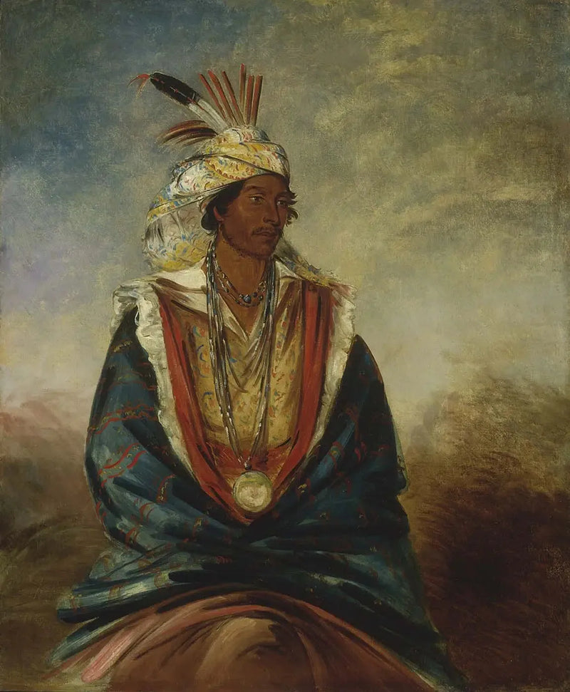 Tel-maz-há-za, un guerriero di distinzione - George Catlin