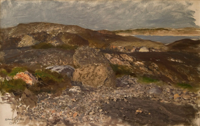 Terreno roccioso - Bruno Liljefors