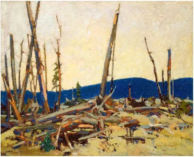 Terra bruciata - Tom Thomson