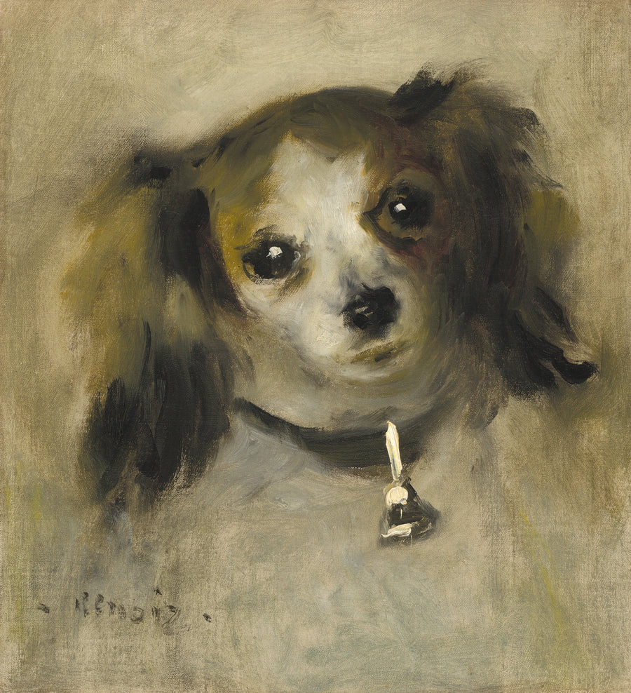 Testa di cane - Pierre-Auguste Renoir