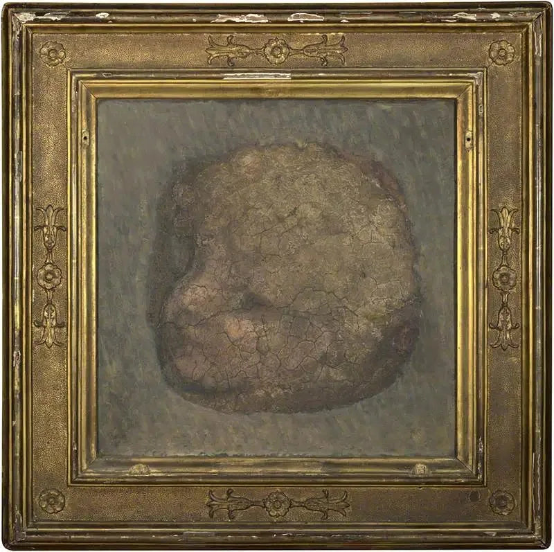Testa d'angelo - Antonio da Correggio
