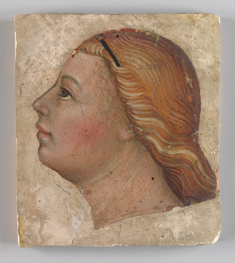 Testa d'angelo di profilo sinistro - Taddeo di Bartolo