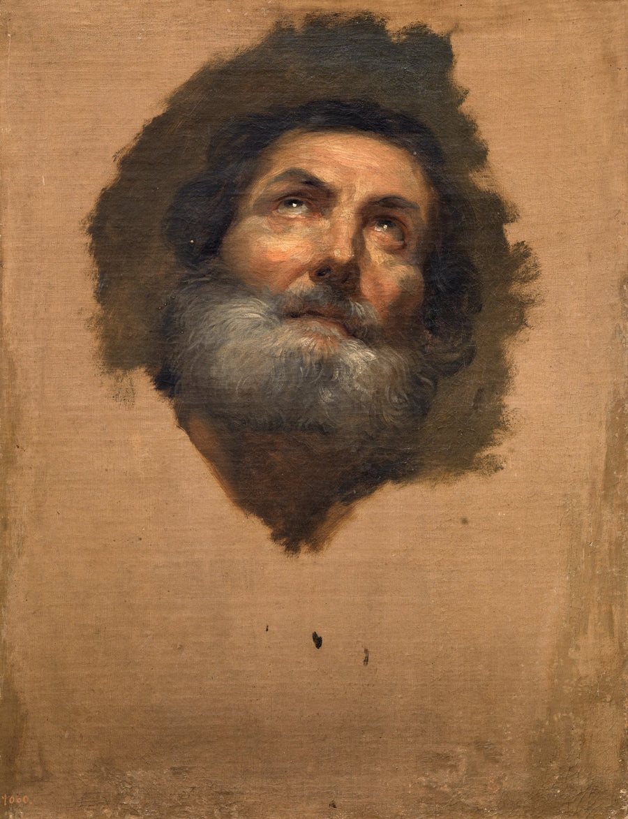 Testa di Apostolo (Museo del Prado, inv P02202) - Anton Raphael Mengs