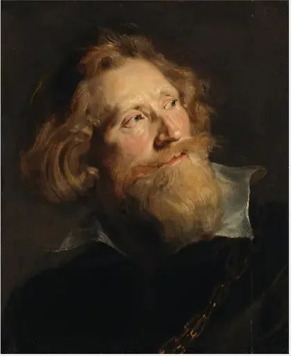 Testa di uomo barbuto - Peter Paul Rubens