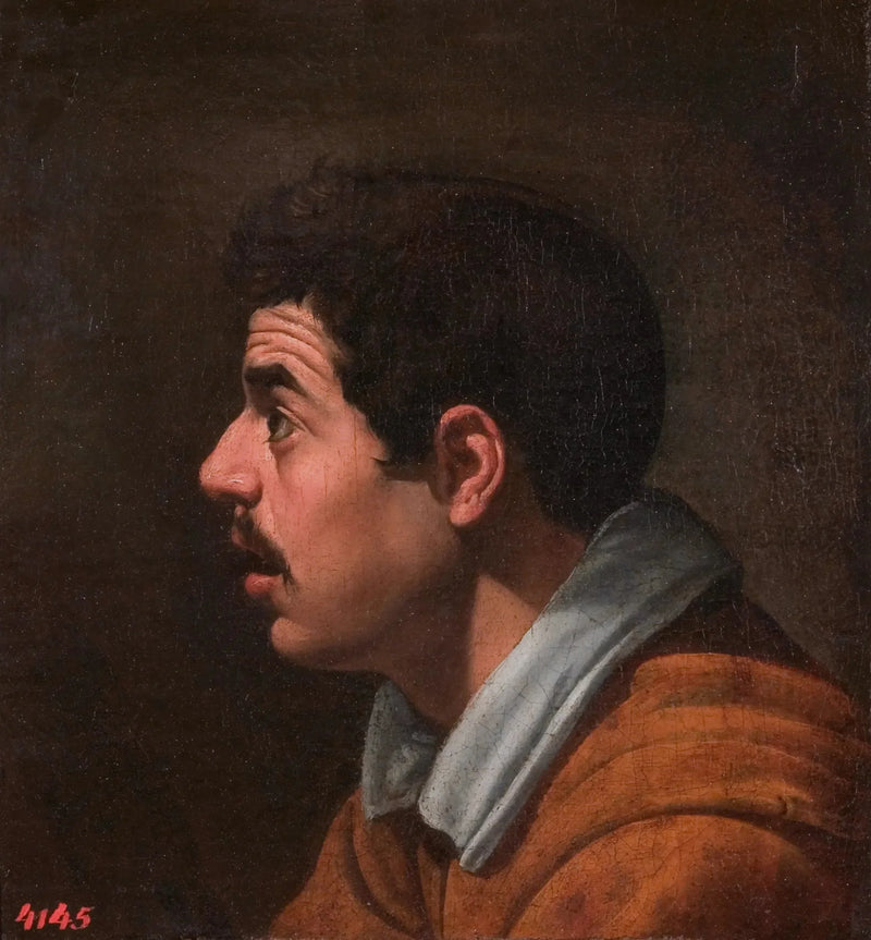 Testa di uomo giovane di profilo - Diego Velázquez