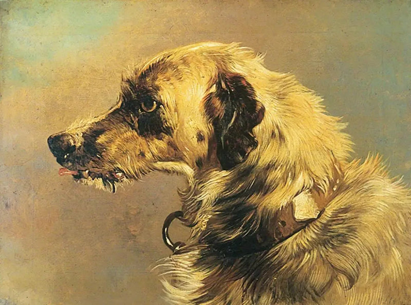 Testa di un cane da caccia - Edwin Henry Landseer