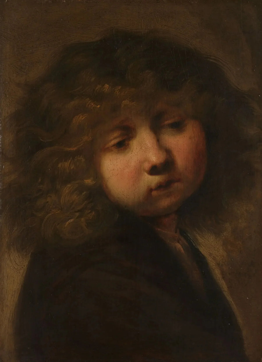 Testa di un ragazzo - Rembrandt