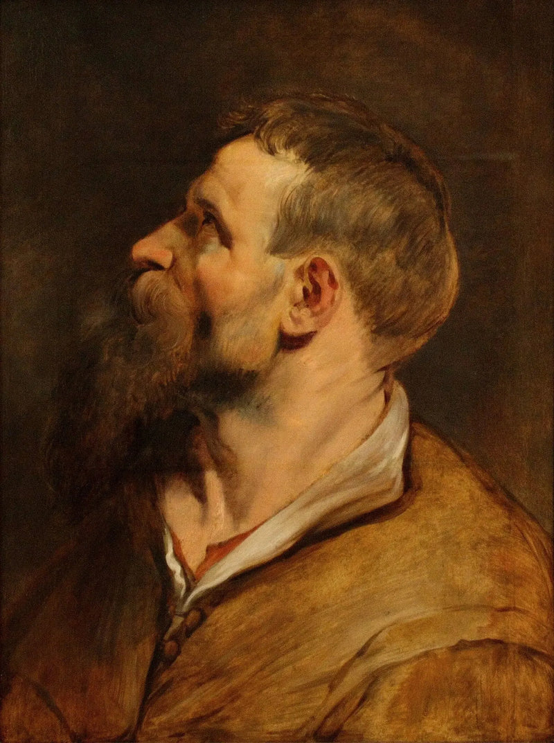 Testa di un uomo barbuto che guarda verso sinistra - Peter Paul Rubens