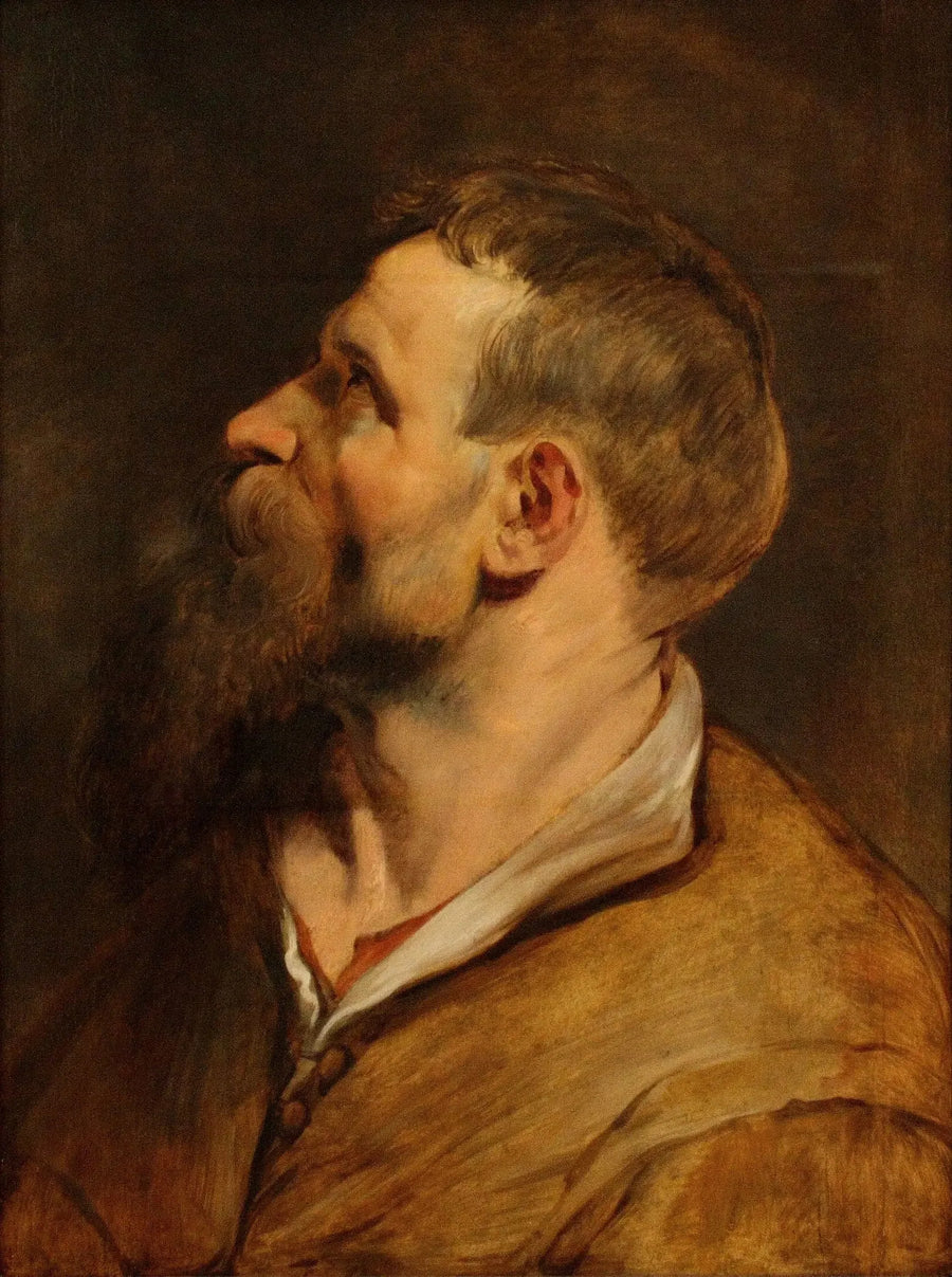 Testa di un uomo barbuto che guarda verso sinistra - Peter Paul Rubens
