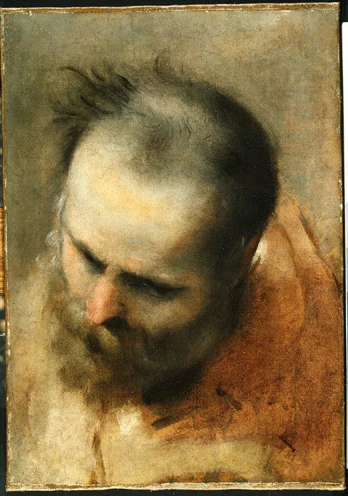 Tête d'un homme barbu regardant vers le bas à gauche (Nicodème) - Federico Barroci