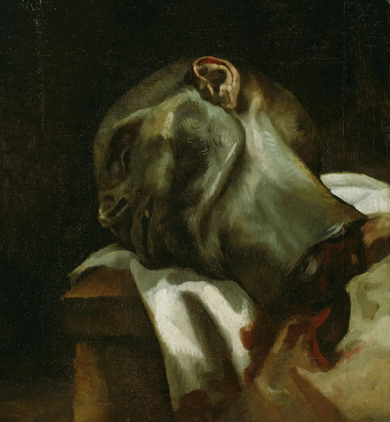 Testa di un uomo ghigliottinato - Théodore Géricault