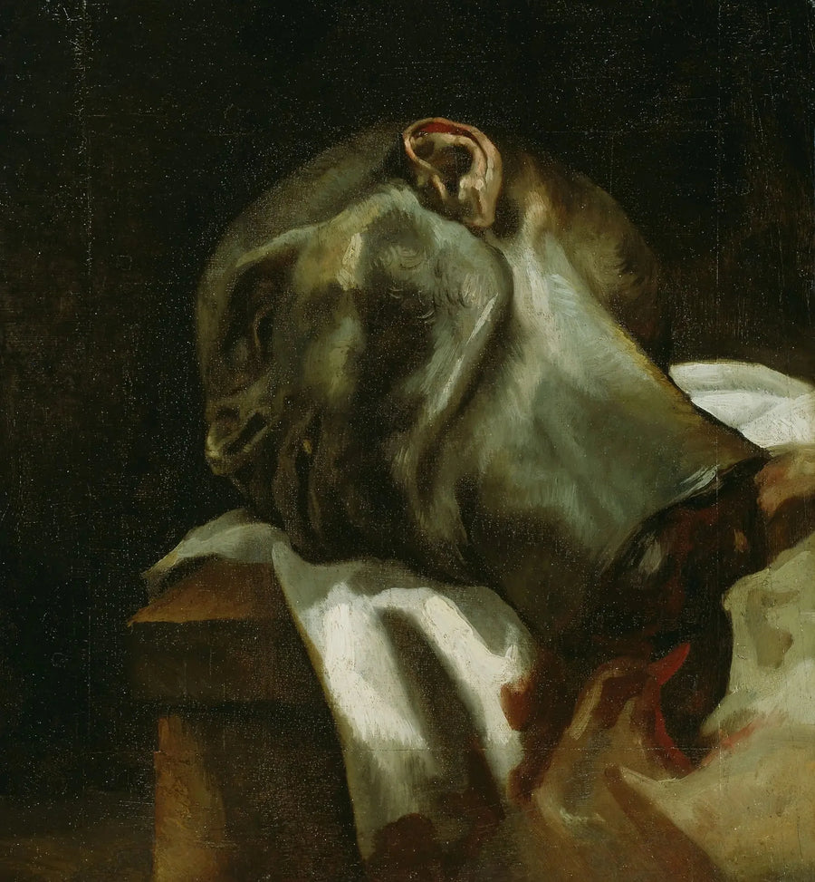 Testa di un uomo ghigliottinato - Théodore Géricault