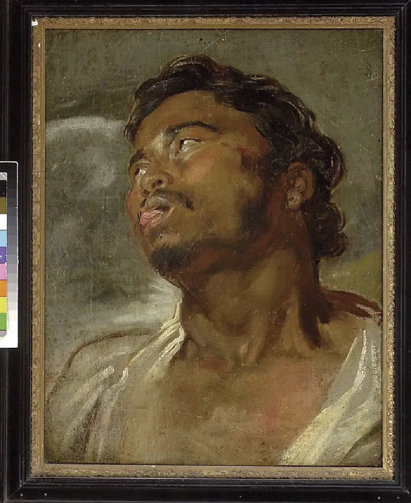 Testa di un uomo nero - Antoine van Dyck
