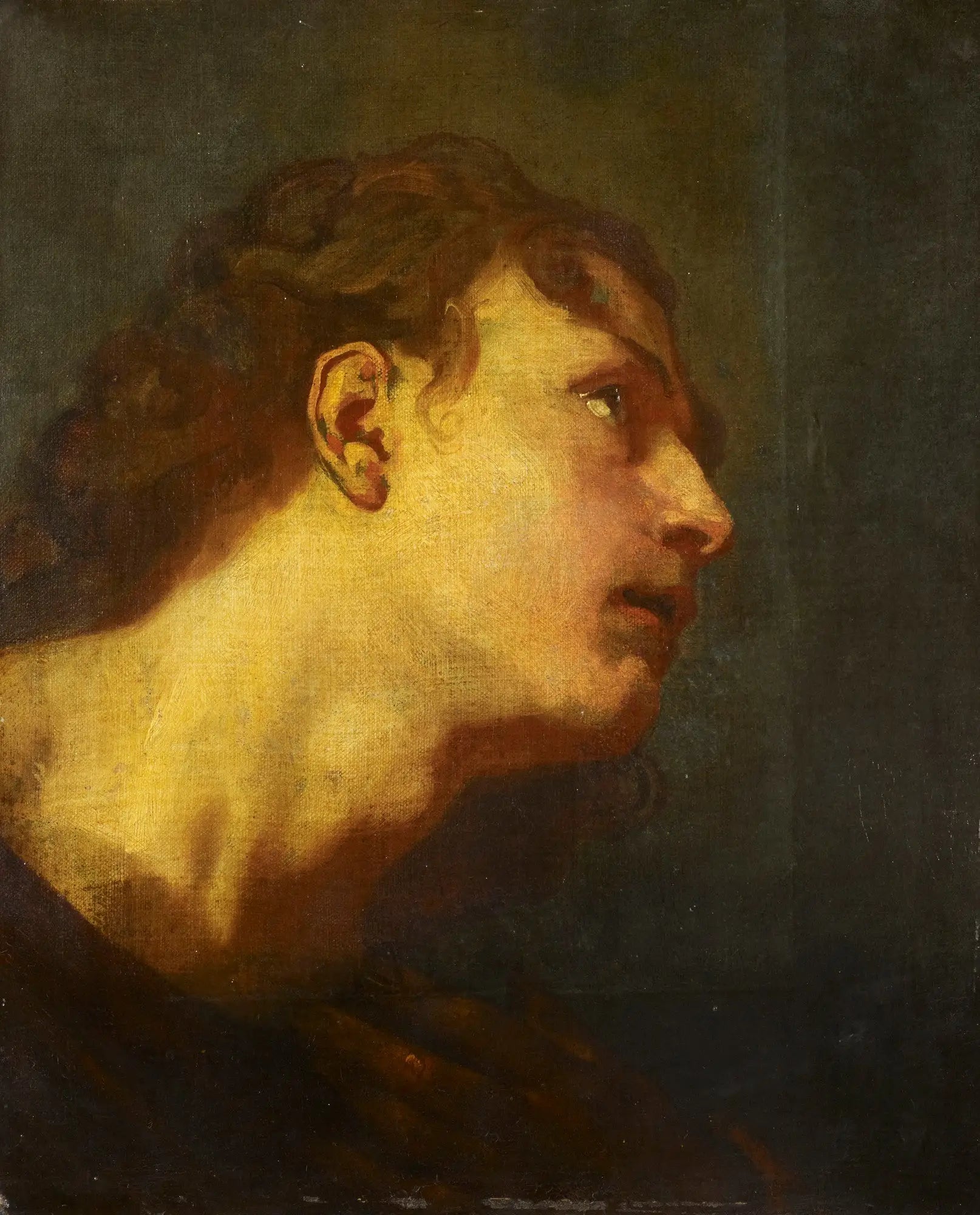 Tête d'un jeune homme - Antoine van Dyck image 1 reproduction artisanale de tableau