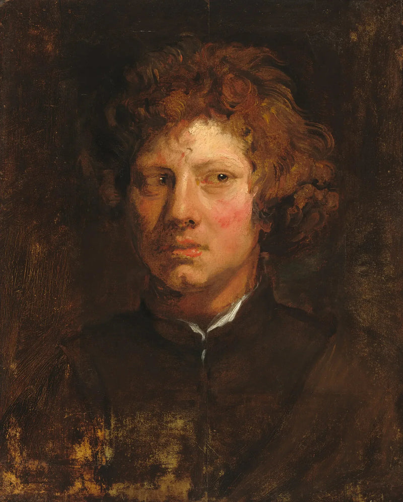 Testa di un giovane uomo - Antoine van Dyck