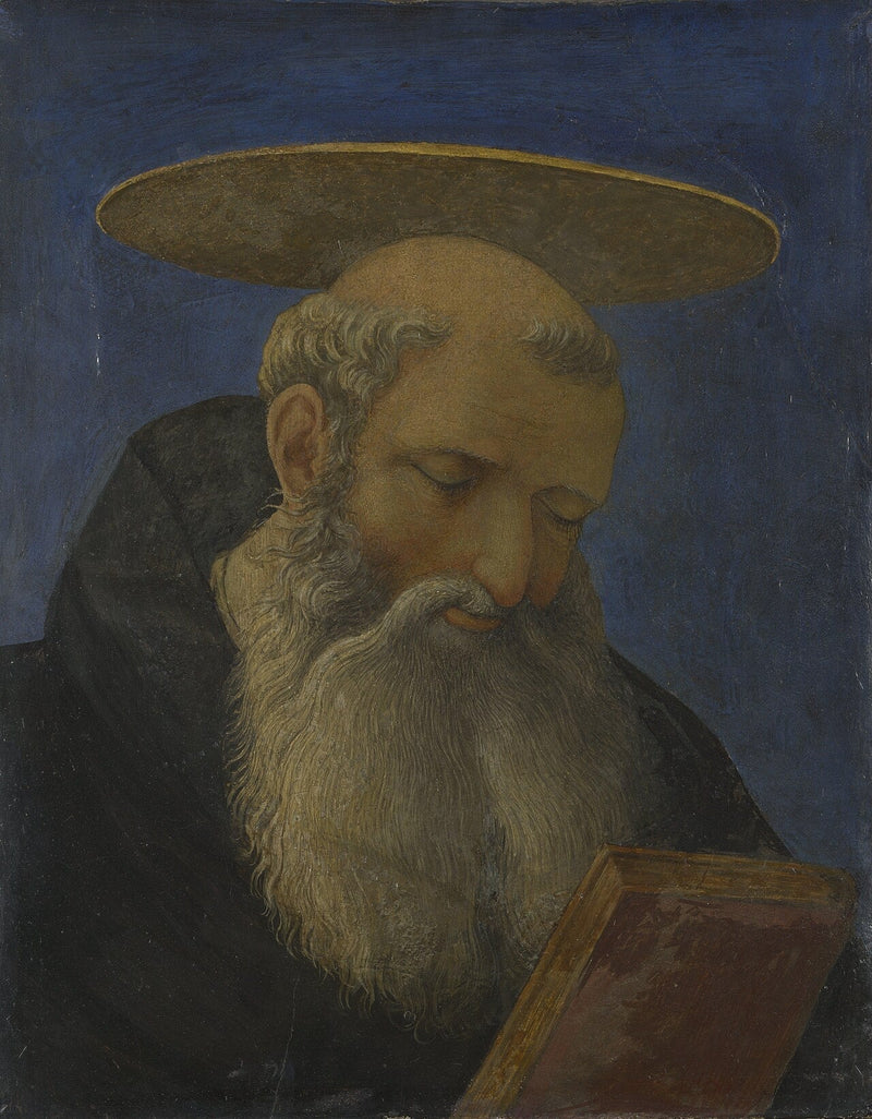 Testa di un santo tonsurato e barbuto - Domenico Veneziano