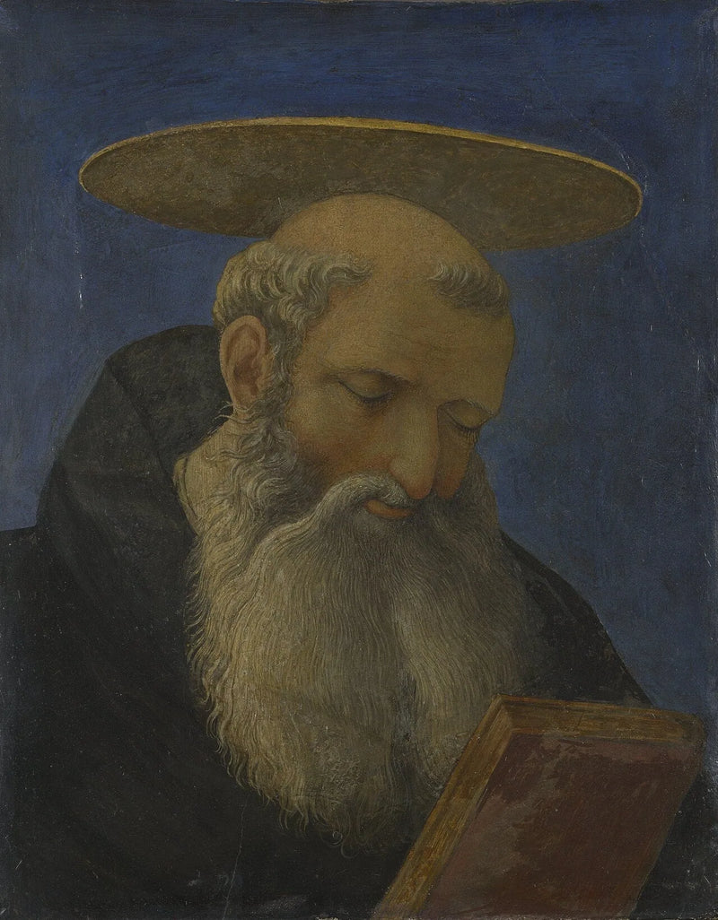 Testa di un santo tonsurato e barbuto - Domenico Veneziano