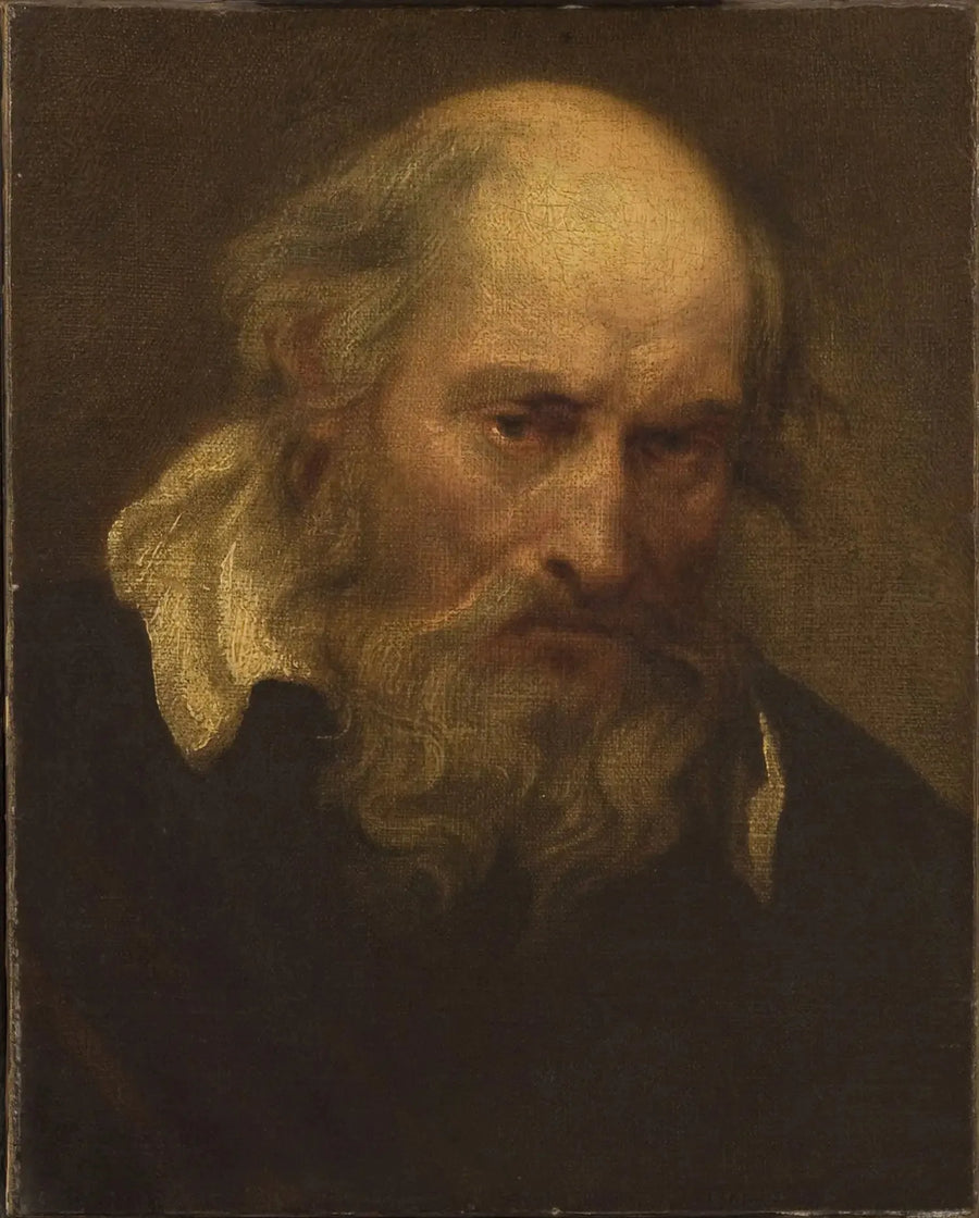 Testa di un vecchio uomo - Antoine van Dyck